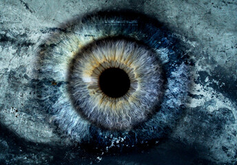 Œil abstrait texturé – Iris bleu en macro artistique