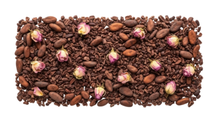 Isolated cocoa beans and rose buds artistic arrangement for Valentine's Day, Mother's Day