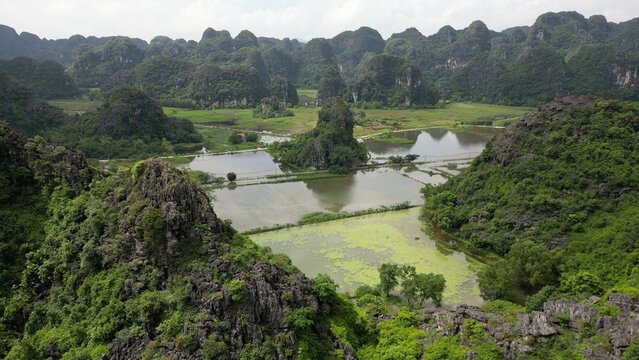 Asia, Land flooded by a summer typhoon and a tourist attraction trail with a water lily garden in Ninh B&igrave;nh and Tam Coc in the Red River Delta region of Vietnam - limestone karst formations 