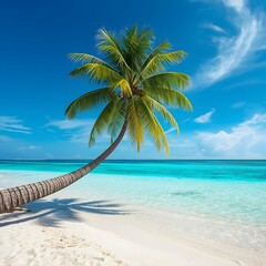 Tropical summer beach with palm tree sunlight and clear water