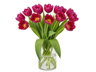 Isolated bouquet of dark pink tulips in transparent glass vase for floral decoration art