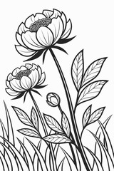 A magical peony flower garden with bold petal mandalas and mist frames