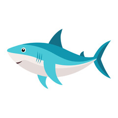shark isolated on white background