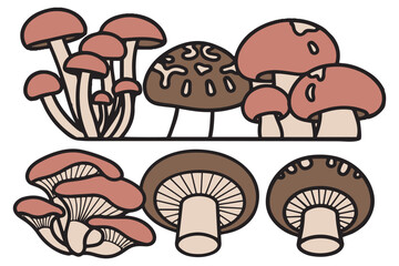 Fototapeta premium Cute Forest Fungi Vector Set with Colorful Hand Drawn mushroom Illustration