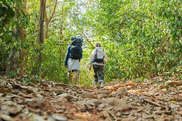 Obraz premium Young couple hike forest trail, people enjoying nature travel adventure, exploring lush green wilderness path, experiencing vibrant natural environment, finding peace amid trees