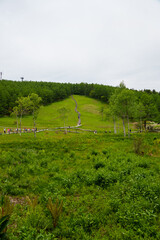 250606入笠山トレッキング