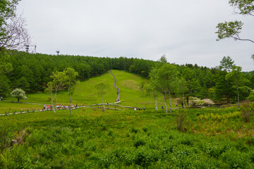 250606入笠山トレッキング