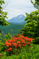 250606入笠山トレッキング