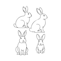 Rabbit Illustration Artwork in Minimal Style