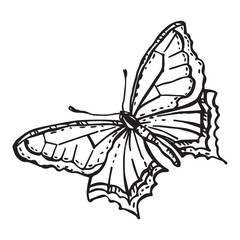 Vector butterfly for alpine meadows