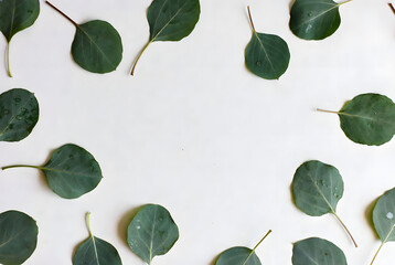 A minimalist flat lay of green leaves with dew drops on a white surface, in a serene, natural style.