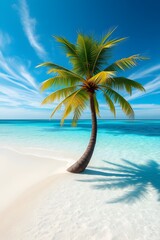 Luxury tropical island beach with palm tree and white sand