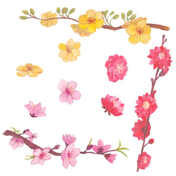 A delicate watercolor illustration of traditional Vietnamese Tết flowers, including peach blossoms and yellow apricot blooms, arranged as branches and loose florals symbolizing spring, renewal, and go