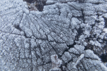 Naklejka premium Winter frost on old wood. Macro photo of frost with wood texture