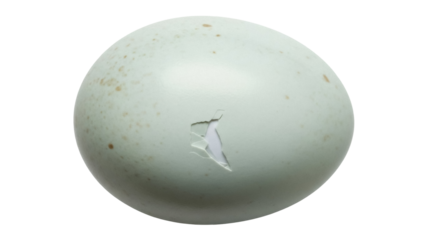 Cracked robin egg PNG isolated on transparent background, light blue speckled eggshell with a hole, fragile symbol of new life and springtime
