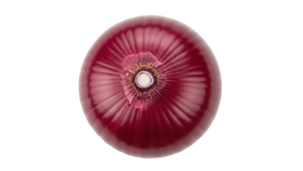 Vibrant red onion isolated PNG on transparent background, fresh vegetable with concentric layers for cooking and healthy eating