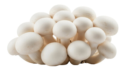 Fresh shimeji mushrooms isolated PNG, a cluster of edible fungus on transparent background for culinary and healthy eating concepts