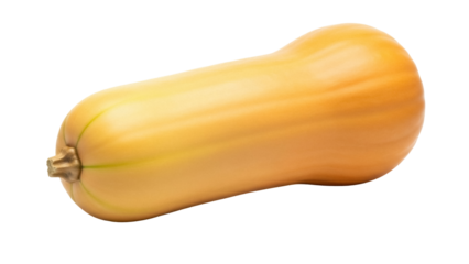 Butternut squash isolated PNG on transparent background, fresh winter vegetable for healthy eating and seasonal recipes