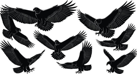 Black silhouettes of majestic eagles and hawks in various flying poses, hunting, and soaring with spread wings, isolated on white background for nature designs.