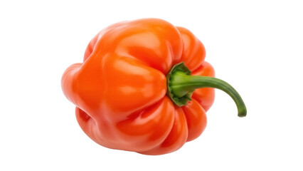 Vibrant orange habanero pepper PNG isolated on transparent backdrop, spicy ingredient for culinary creations and hot sauce making