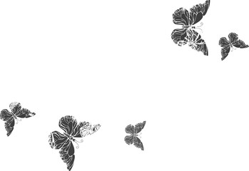 Chalk Infnity with Butterflies