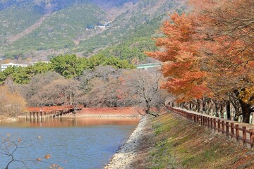 창원 진해내수면 생태공원 가을 풍경시리즈