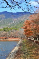 창원 진해내수면 생태공원 가을 풍경시리즈