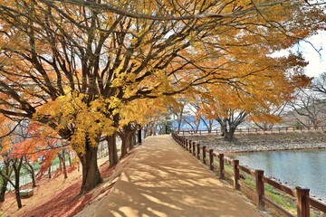 창원 진해내수면 생태공원 가을 풍경시리즈