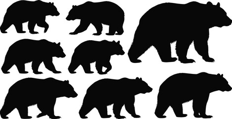 Set of black bear silhouettes walking and standing in various poses, isolated vector illustration of grizzly and brown bears for wildlife and nature design