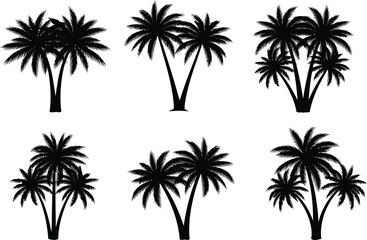 Obraz premium Collection of various palm tree cluster silhouettes perfect for tropical design elements