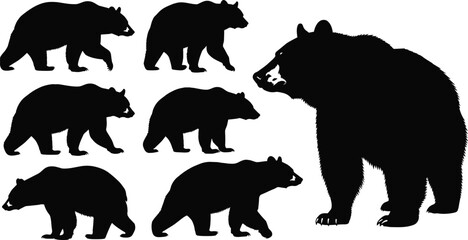 Set of grizzly bear silhouettes and forest wildlife animal collection isolated on white background, black predator bears standing and walking in nature,