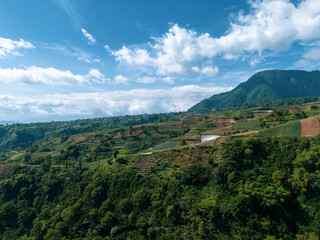 Naklejka premium Scenic aerial perspective of a narrow concrete road winding through terraced agricultural fields leading toward a majestic mountain peak.