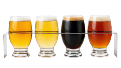 Assortment Beer Collection Tasting Samples Dark Amber Lager Ale