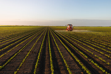 Tractor spraying crops in a lush green field at sunset.