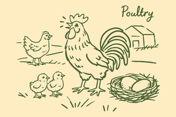Poultry farm chicken rooster chicks eggs hand drawn sketch vector