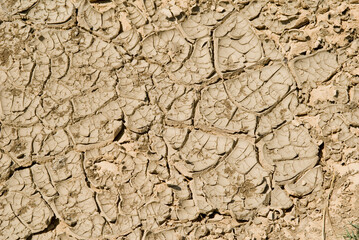 texture of a dried land