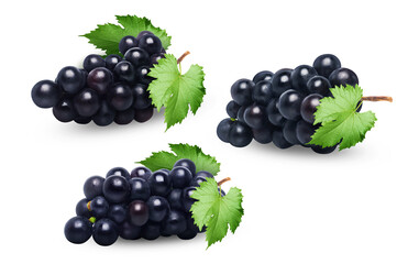 Black Grape Clusters, Fresh Fruit for Juice Wine and Grocery Use on Transparent Background png