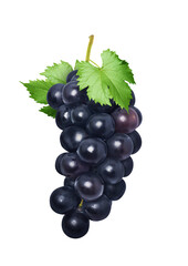 Black Grape Bunch with Green Leaves Rich in Antioxidants on Transparent Background png