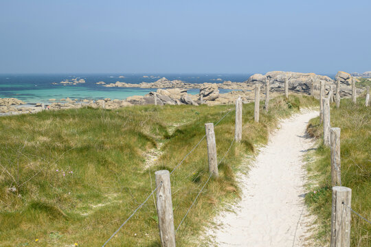 Chemin cotier en &eacute;t&eacute; au milieu des dunes en bord de mer &agrave; Kerlouan dans le Finistere, r&eacute;gion Bretagne.
