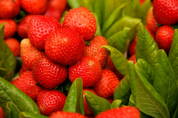 strawberries in the market