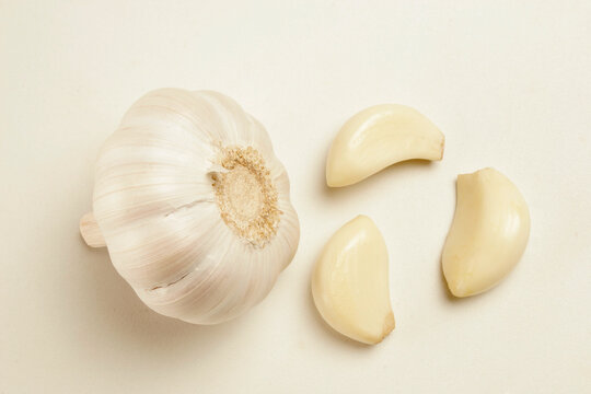 garlic on white background