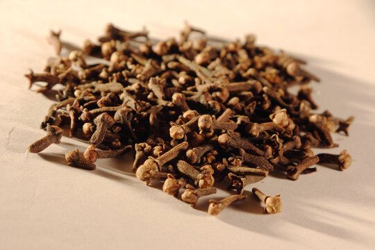 clove seed heads