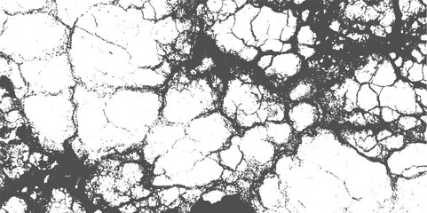 Obraz premium Dark gray cracked pattern on white background abstract texture black