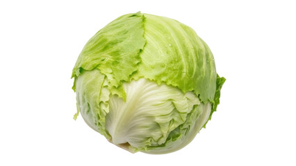 Fototapeta premium Isolated round head of fresh Iceberg lettuce a common ingredient for healthy salad dishes