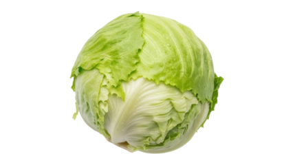 Isolated round head of fresh Iceberg lettuce a common ingredient for healthy salad dishes