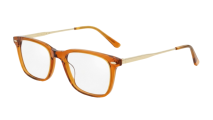 Isolated eyewear glasses frame with gold arms stylish fashion accessory for vision correction