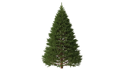 Obraz premium Isolated green realistic natural shaped Christmas tree against a clean background