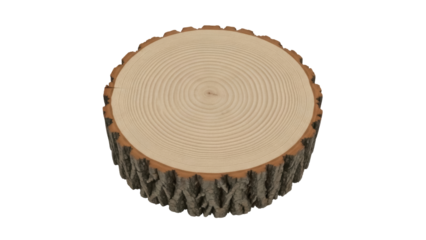 Isolated Wooden Tree Stump Slab with Bark Edge, Decorative Rustic Display Base, no background