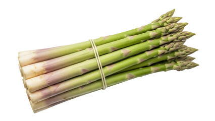 Isolated bunch of raw asparagus stalks bound by rubber band ready for cooking or market stall
