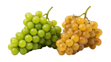 Isolated cluster of green and yellow grapes, sweet delicious fruit, healthy snack, tasty food